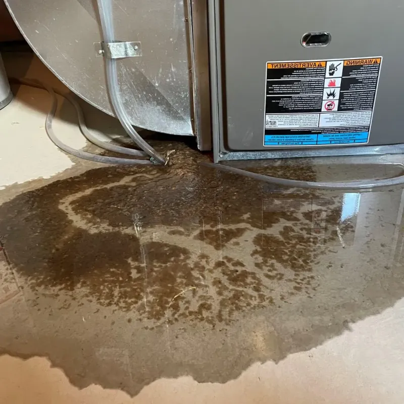 Pipe Burst and Leak Restoration in Griffith, IN