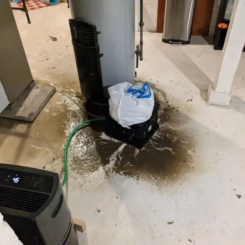 Sewage Backup Cleanup Service in Griffith, IN